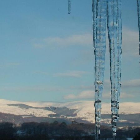 Stunning Views Of Ynyshir & Southern Snowdonia Machynlleth Ngoại thất bức ảnh