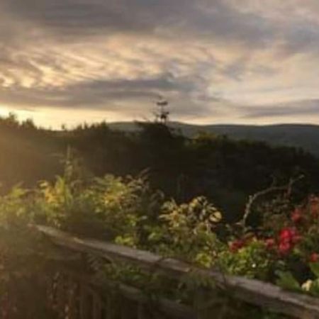 Stunning Views Of Ynyshir & Southern Snowdonia Machynlleth Ngoại thất bức ảnh