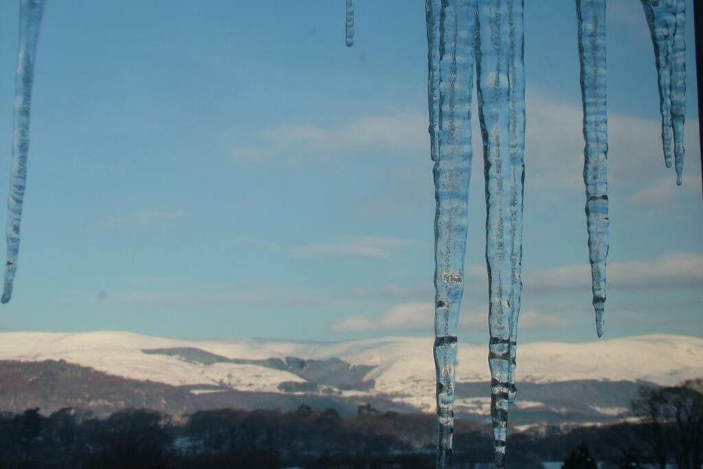 Stunning Views Of Ynyshir & Southern Snowdonia Machynlleth Ngoại thất bức ảnh