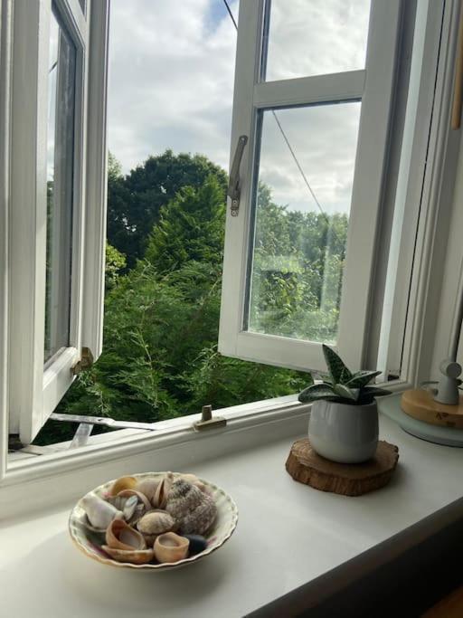 Stunning Views Of Ynyshir & Southern Snowdonia Machynlleth Ngoại thất bức ảnh