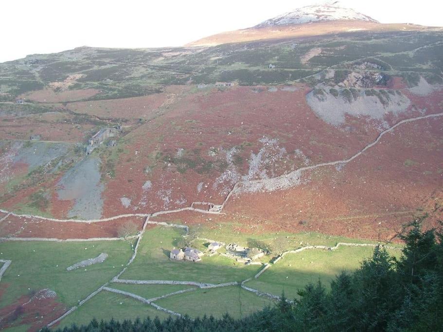Stunning Views Of Ynyshir & Southern Snowdonia Machynlleth Ngoại thất bức ảnh