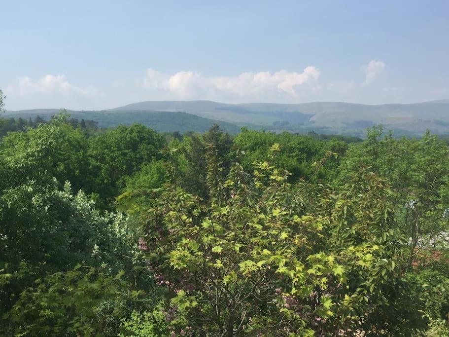 Stunning Views Of Ynyshir & Southern Snowdonia Machynlleth Ngoại thất bức ảnh