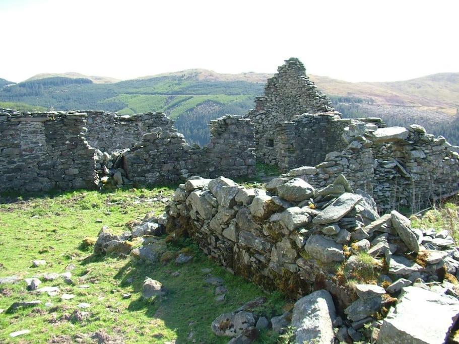 Stunning Views Of Ynyshir & Southern Snowdonia Machynlleth Ngoại thất bức ảnh
