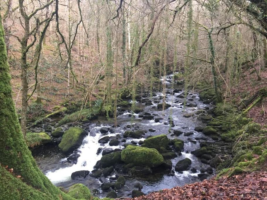 Stunning Views Of Ynyshir & Southern Snowdonia Machynlleth Ngoại thất bức ảnh